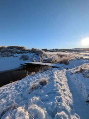 Küçük nehir boyunca büyüyen donmuş bitkilerin manzarası, kışın kırsal alanlar.