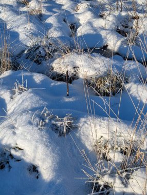 Donmuş kuru çimenli kış kar dokusu 