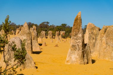 Pinnacles kireçtaşı oluşumları Nambung Milli Parkı içinde Cervantes, Batı Avustralya, yakınındaki vardır.