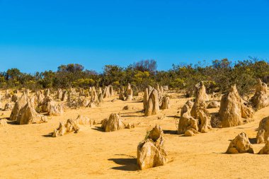Pinnacles kireçtaşı oluşumları Nambung Milli Parkı içinde Cervantes, Batı Avustralya, yakınındaki vardır.