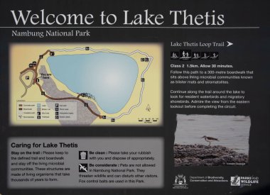 Thetis Gölü kenarındaki bu kayalar gibi stromatolitler insan gözünün göremeyeceği kadar küçük mikro organizmalar tarafından inşa edilmiştir..