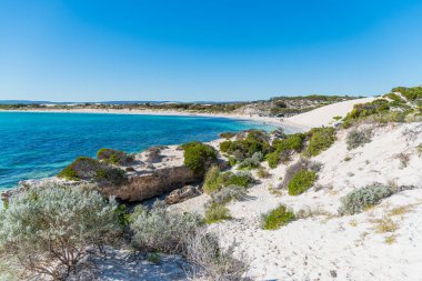 Jurien Körfezi, WA / Avustralya - 07 / 11 / 2020 Sandy Cape Rekreasyon Parkı beyaz kum, turkuaz su, mükemmel balıkçılık ve güvenli yüzme alanları ile burası Perth 'e yakın harika bir aile kamp alanı haline geliyor..