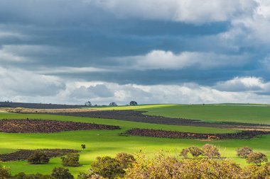Jurien Körfezi WA 'nın dışındaki el değmemiş kırsal alanlar.