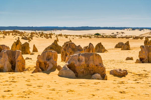 Stock image The Pinnacles are limestone formations within Nambung National Park, near the town of Cervantes, Western Australia.