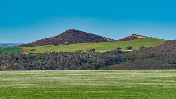 Stock image Pristine rural landscapes outside of Jurien Bay WA