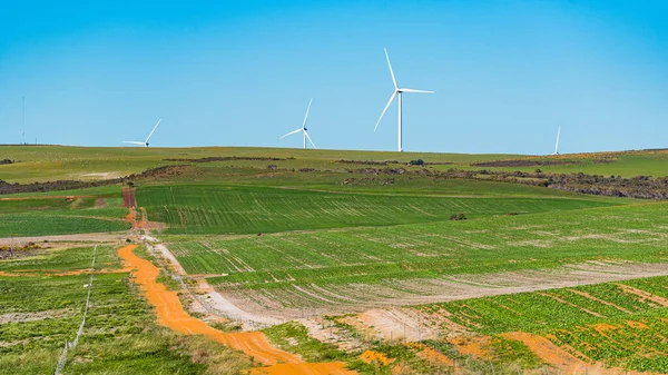 Emu Downs Rüzgar Çiftliği Batı Avustralya Bulunan Perth Nın Yaklaşık — Stok fotoğraf