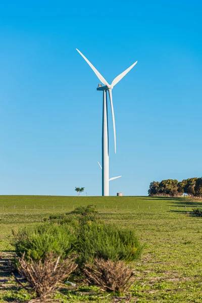 Вітрова Електростанція Ему Даунс Вітрова Електростанція Потужністю Мвт Західній Австралії — стокове фото