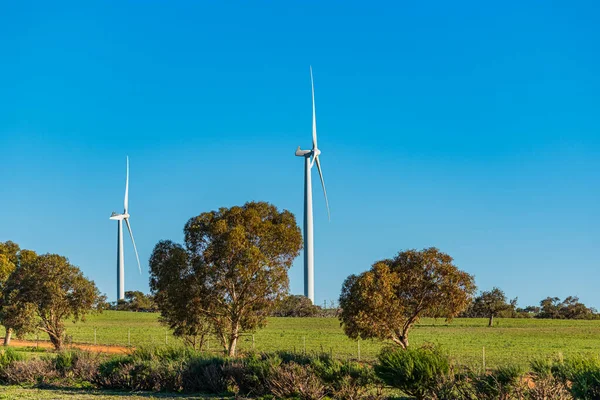 Emu Downs Wind Farm Parco Eolico Nell Australia Occidentale Trova — Foto Stock