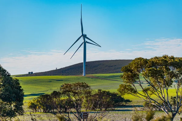 Emu Downs Wind Farm Parco Eolico Nell Australia Occidentale Trova — Foto Stock