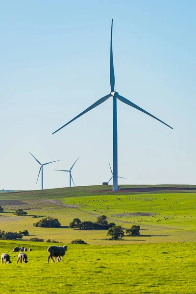 Вітрова Електростанція Ему Даунс Вітрова Електростанція Потужністю Мвт Західній Австралії — стокове фото