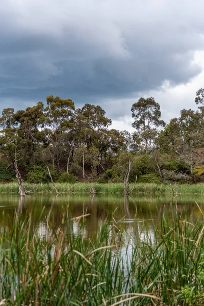 Melbourne Victoria Australia 2019 Λίμνη Newport Περιοχή Δημιουργήθηκε Από Ένα — Φωτογραφία Αρχείου