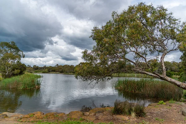 Melbourne Victoria Australien 2019 Newport Lake Das Gebiet Wurde Aus — Stockfoto