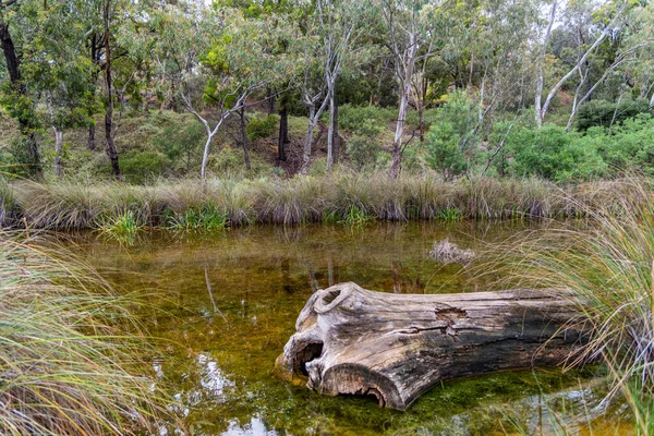 Мельбурн Виктория Австралия 2019 Newport Lake Area Created Former Bluestone — стоковое фото