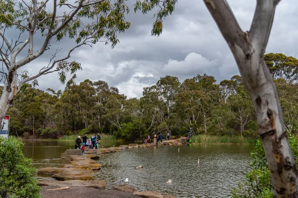 Melbourne Victoria Australia 2019 Newport Lake Het Gebied Ontstaan Uit — Stockfoto