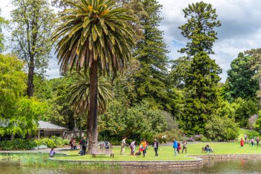 Melbourne, Victoria / Avustralya - 11 / 06 / 2019 İnsanlar Melbourne Botanik Bahçeleri 'nin rahatlatıcı ortamının tadını çıkarıyor