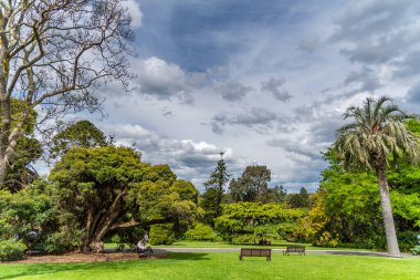 Melbourne, Victoria / Avustralya - 11 / 06 / 2019 İnsanlar Melbourne Botanik Bahçeleri 'nin rahatlatıcı ortamının tadını çıkarıyor