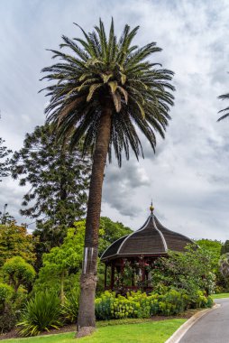 Melbourne, Victoria / Avustralya - 11 / 06 / 2019 İnsanlar Melbourne Botanik Bahçeleri 'nin rahatlatıcı ortamının tadını çıkarıyor