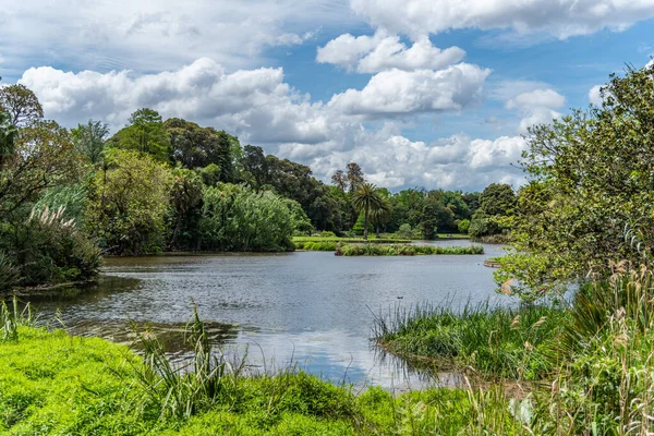 Melbourne Victoria Australien 2019 Naturvielfalt Botanischen Garten Von Melbourne — Stockfoto