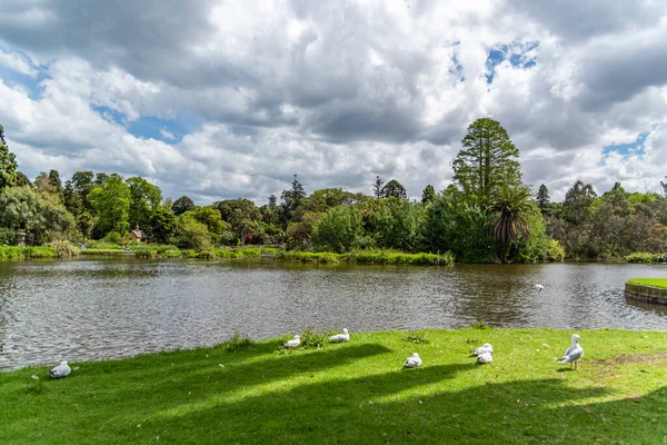 Melbourne Victoria Australien 2019 Schöne Parklandschaften Und Seen Botanischen Garten — Stockfoto