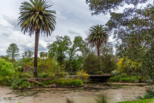 Melbourne Victoria Australien 2019 Naturvielfalt Botanischen Garten Von Melbourne — Stockfoto