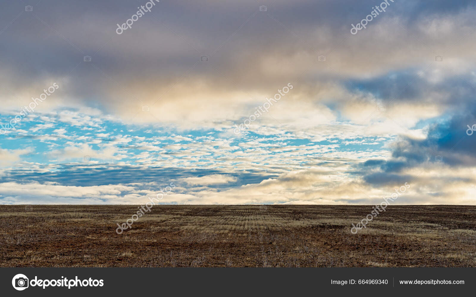 Aerial View Canola Wheat Fields Northam — Stock Photo © RicJacyno ...