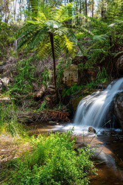 Perth, Batı Avustralya 'daki Araluen Şelaleleri