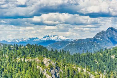 Yazın Kanada Rocky Dağı manzarası