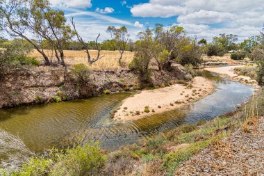 Avon Nehri Batı Avustralya 'da bir nehirdir. Kuğu Nehri 'nin bir kolu olan Avon, kaynaktan ağıza 240 kilometre akar.