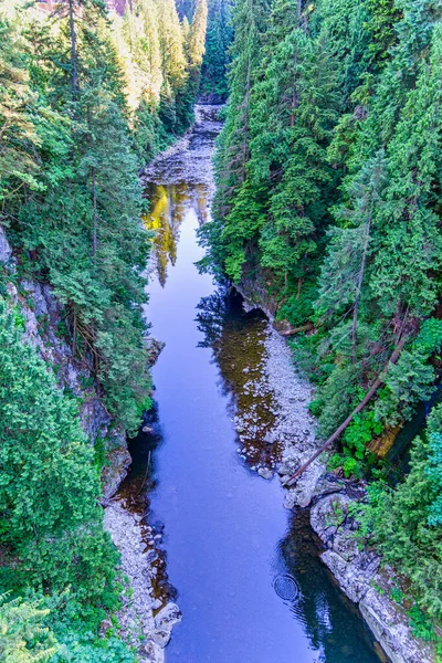 Vista Del Río Desde Puente Colgante Capilano Canadá —  Fotos de Stock