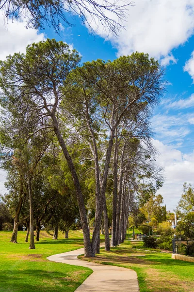 Gehen Sie Den Weg Zwischen Hohen Bäumen Bernard Park Northam — Stockfoto