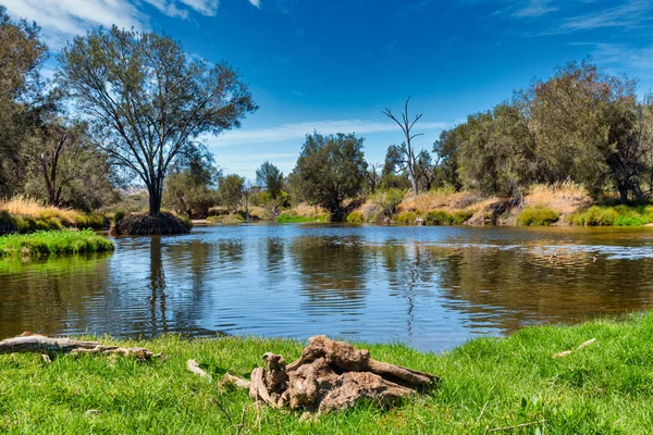 Avon River 오스트레일리아 서부에 강이다 지류인에 원산지에서 입으로 240 킬로미터를 — 스톡 사진