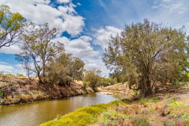 Avon Nehri Batı Avustralya 'da bir nehirdir. Kuğu Nehri 'nin bir kolu olan Avon, kaynaktan ağıza 240 kilometre akar.