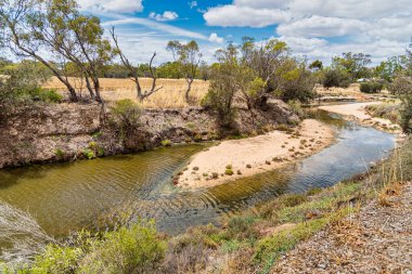 Avon Nehri Batı Avustralya 'da bir nehirdir. Kuğu Nehri 'nin bir kolu olan Avon, kaynaktan ağıza 240 kilometre akar.