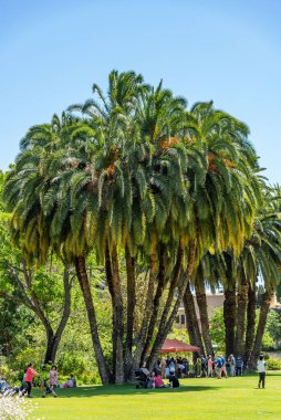 Perth, WA / Avustralya - 11 / 17 / 2019 Konsolosluk Dünya Gıda Festivali, Perth çevresindeki toplulukların bir araya geldiği Hükümet Bahçeleri 'nde düzenlenen yıllık bir etkinliktir..