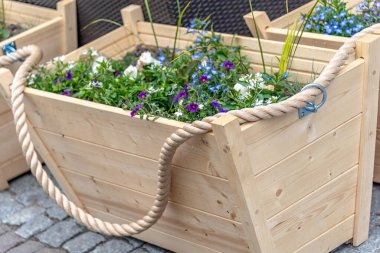 Dluga Targ 'daki çiçek kutusu Gdansk Polonya' nın ana caddesi.
