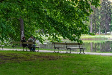 Varşova, Mazovia Eyaleti / Polonya - 05 / 06 / 2019. Park Ujazdowski, Polonya 'nın en pitoresk parklarından biridir..