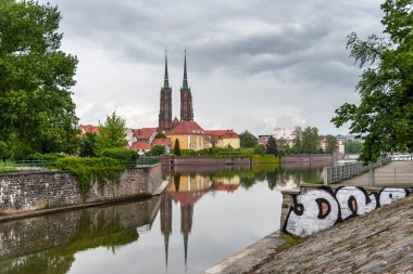 Wroclaw, Silesia / Polonya 05 / 09 / 2019. Wrocaw Otel Park Plaza Oder Nehri 'nde yüzen kuğularla