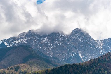 Zakopane, Podhale / Polonya - 05 / 16 / 2019. Tatra Dağları, doğu Avrupa 'daki Karpat dağ zincirinin bir parçasıdır. Slovakya ve Polonya arasında doğal bir sınır oluşturur..