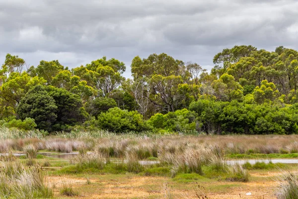 Rockingham Australia 2019 Λίμνη Richmond Είναι Ένα Σημαντικό Οικοσύστημα Για — Φωτογραφία Αρχείου