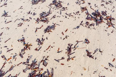 Shoalwater Körfezi, WA / Avustralya 04 / 14 / 2020 Point Peron Rockingham sahilindeki Penguen Adası 'na kadar uzun, temiz plajlar ve feribot.