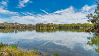 Alcoa Wellard sulak alanları, sıcak yaz havası Kuğu Kıyısı 'ndaki diğer sulak alanları kuruttuğu zaman sonbaharda su kuşlarına barınak sağlar.