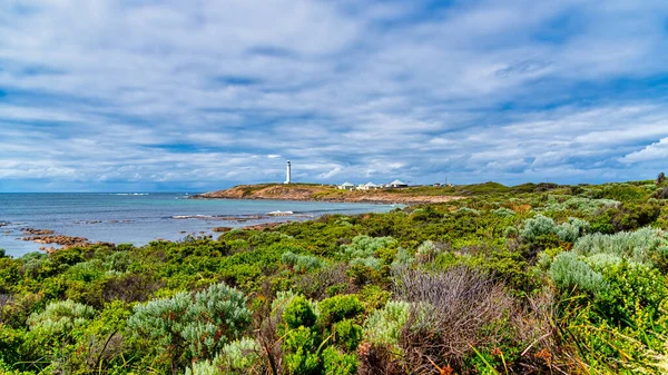 オーガスター オーストラリア12 2022ケープ リーウィン灯台は主に船を守るための歩哨として立っていますオーガスタの危険な南西部海岸だった — ストック写真