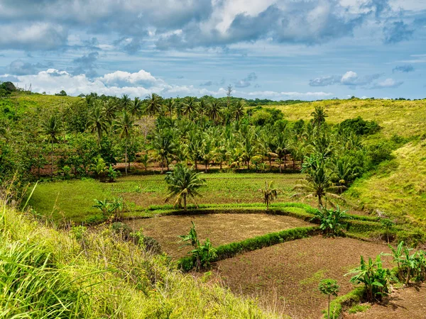 Teletubbies Hill Situado Pueblo Tanglad Subdistrito Nusa Penida Bali — Foto de Stock