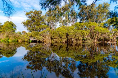 Vasse-Wonnerup sulak alanları, Aşağı Vasse Nehri Vasse ve Wonnerup haliçlerinden oluşur.