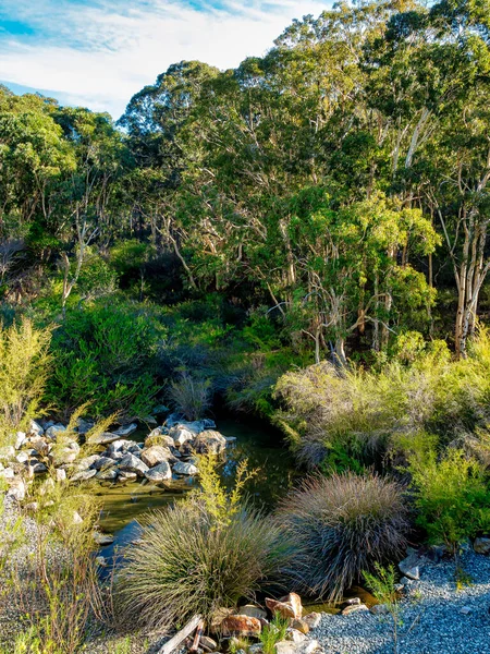 Dwellingup Australia 2022 Dwellingup是一个位于悬崖顶上的小木材城镇 它四周环绕着一个以其广阔的印度森林而闻名的国家森林 — 图库照片