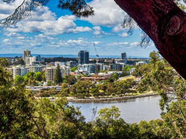 Kuğu Nehri ve Kings Park 'tan Güney Perth manzarası