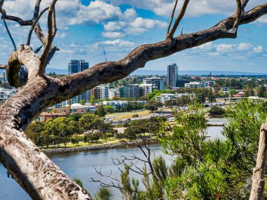 Kuğu Nehri ve Kings Park 'tan Güney Perth manzarası