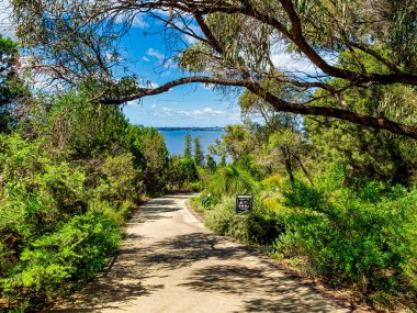 Kings Park ve Botanik Bahçesi Perth Water 'a ve Batı Avustralya' nın Perth kentinin merkez ticaret bölgesine tepeden bakan 400.6 hektarlık bir parktır..