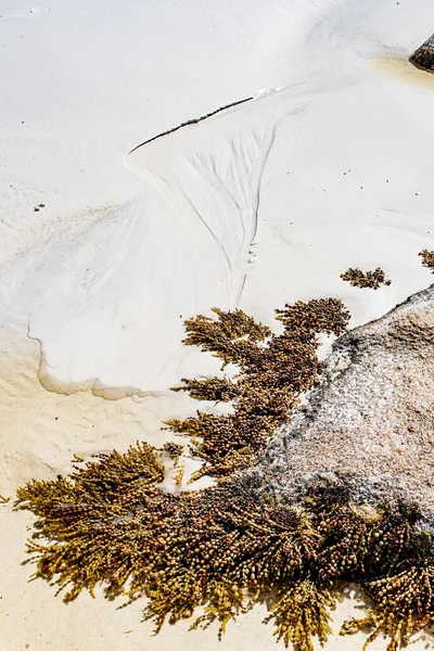 Texturer Sanden Vid Thistle Cove Vid Cape Grande Esperance — Stockfoto