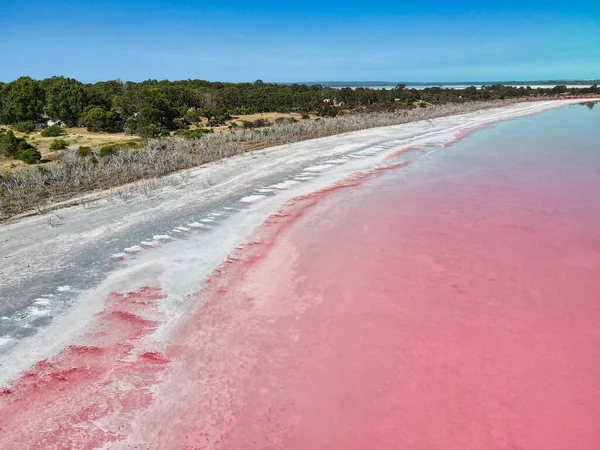 Lake Warden Salt Lake Esperance Region Western Australia Which Pink — Stock Photo, Image